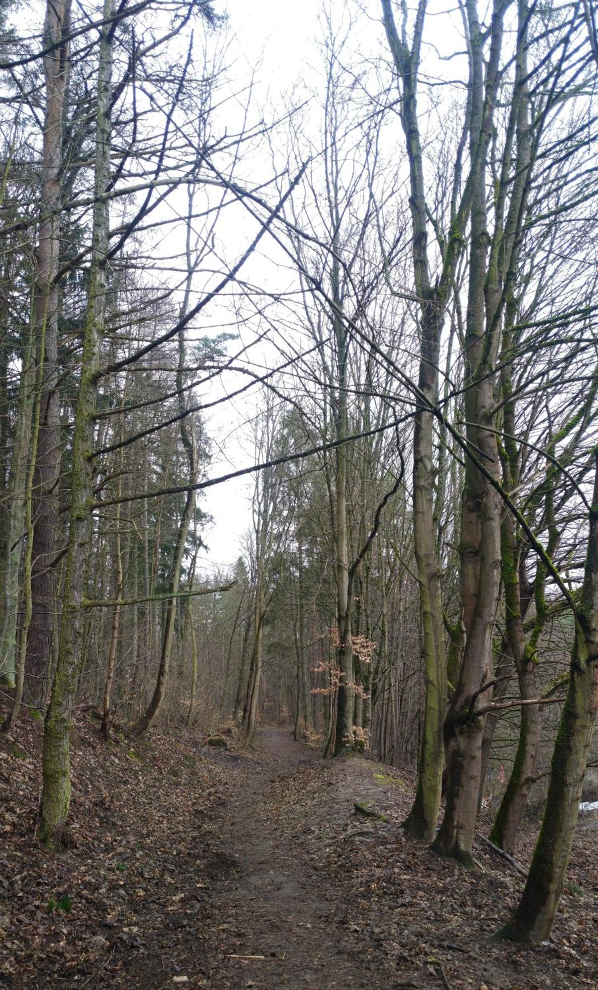 Gdanska Panorama Niedzwiadka Huoneisto
